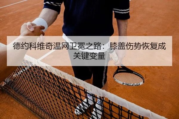 de-yue-ke-wei-qi-wen-wang-wei-mian-zhi-lu-xi-gai-shang-shi-hui-fu-cheng-guan-jian-bian-liang-2-423.jpg