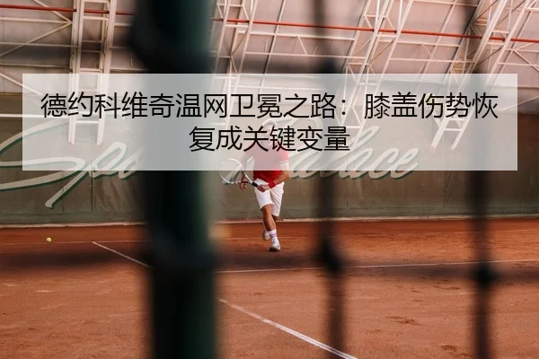 de-yue-ke-wei-qi-wen-wang-wei-mian-zhi-lu-xi-gai-shang-shi-hui-fu-cheng-guan-jian-bian-liang-3-495.jpg