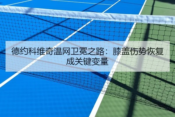 德约科维奇温网卫冕之路：膝盖伤势恢复成关键变量