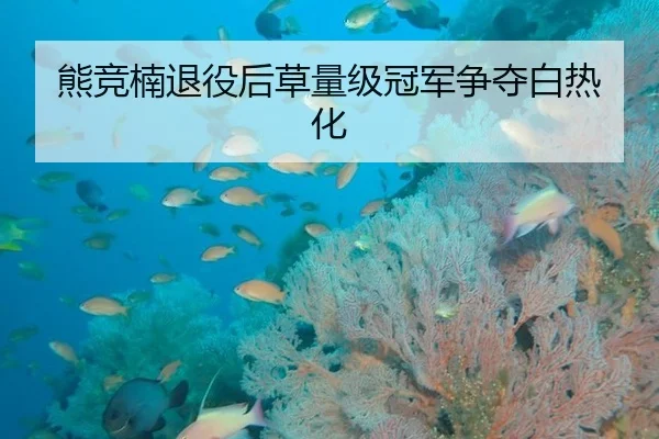 熊竞楠退役后草量级冠军争夺白热化