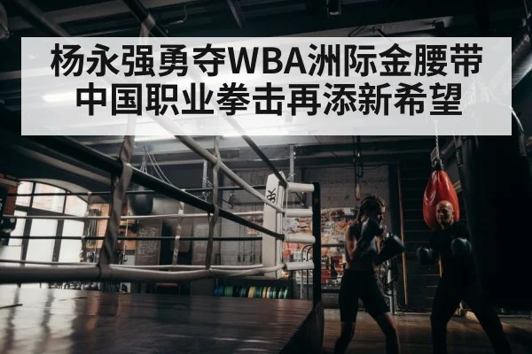boxer training in gym